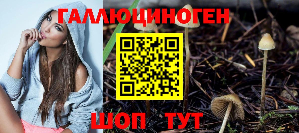 Псилоцибиновые грибы прущие грибы  Галлюциногенные грибы GOLDEN TEACHER  Вход с VPN  даркнет сайт  Барнаул 